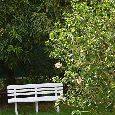 Residence Mon Refuge Grande Anse エクステリア 写真
